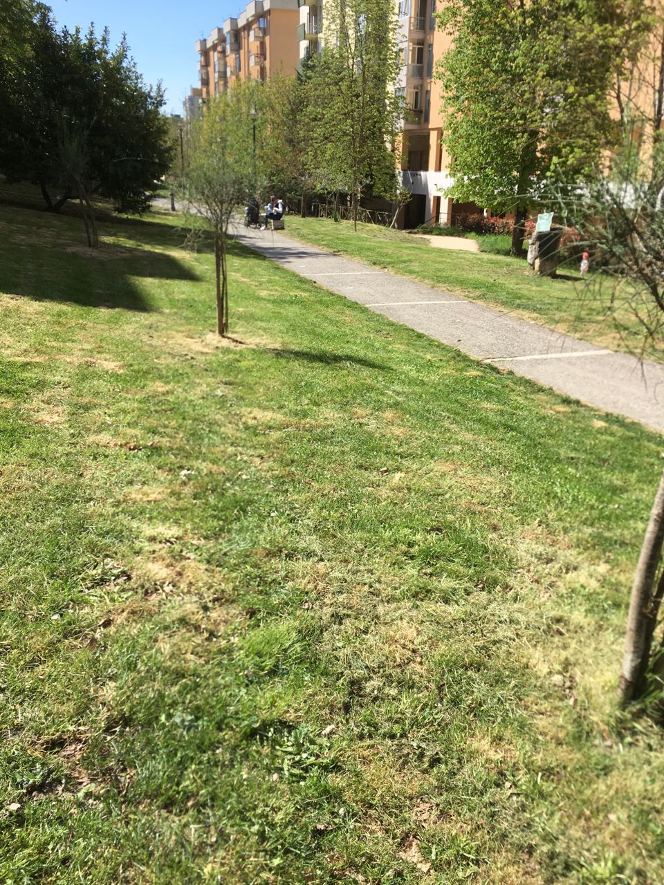 parco europa unita